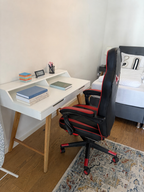 Luxury Balcony Apartment in Wiesbaden Center