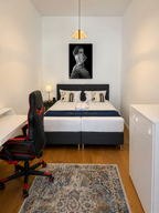 Luxury Balcony Apartment in Wiesbaden Center